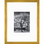 Quadro Decorativo com Moldura Dourada Árvore Paisagem de Inverno 30x40cm