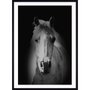 Quadro Decorativo Cavalo em Preto e Branco com Moldura Preta - Escolha o Tamanho
