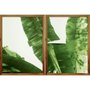 Par de Quadros com Moldura Rústica Folhas de Bananeira Kit com 2 Quadros de 50x70cm