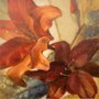 Gravura para Quadros Flores Vermelhas por Lanie Loreth 30x30cm