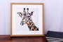 Quadro Decorativo Ilustração Girafa Colorida 40x40cm