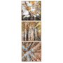 Conjunto de Quadros Paisagens Florestas 3 Quadros de 30x30 cm