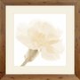 Quadro Decorativo Floral Flor Branca com Moldura Rústica 100x100cm