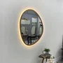 Espelho Orgânico com Moldura Revestida em Curupixá e LED Embutido: Funcional e Elegante