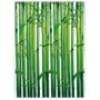 Gravura de Parede Wall Mural Bambus Planta 180x250cm