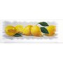 Gravura para Cozinha de Frutas Limão 70x25cm