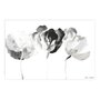 Gravura para Quadros em Preto e Branco Flores Raio-X 90x60cm