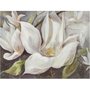 Gravura para Quadros Flor Magnólias Brancas 80x60cm