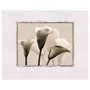 Gravura para Quadros Floral Flores em Preto e Branco 50x40cm