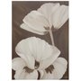 Gravura para Quadros - Floral Papoulas Brancas 50x70cm