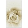 Gravura para Quadros Floral Rosas Brancas 42x73cm