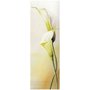 Gravura para Quadros Flores Copo de Leite 30x90cm