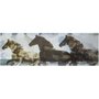Gravura para Quadros Três Cavalos Espírito Animado 90x30cm