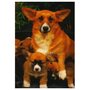 Gravura Poster para Quadros Animais Pet Cachorros 40x50cm