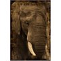 Gravura Imagem para Quadros Animal Elefante Africano 80x120cm