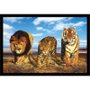 Gravura Poster para Quadros Leão Onça e Tigre 90x60cm
