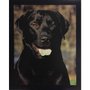 Gravura Poster para Quadros Pet Cachorro Labrador 40x50cm