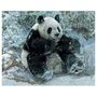 Gravura Poster para Quadros Urso Panda 50x40cm