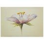 Gravura Texturizada para Quadros Floral Flor Lilas 70x50cm