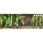 Gravura Texturizada para Quadros Natureza Bambo 100x35cm