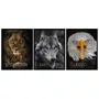 Kit de Quadros Animais Poderosos Disciplina Leão, Execução Lobo e Foco Águia