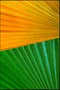 Kit de Quadros Botânicos Tropical Folhagem Verde e Amarelo 80x140 cm Cada Quadro