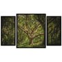 Kit de Quadros Decorativos Floresta Hawaii Árvores  130x70cm