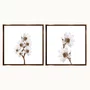 Kit de Quadros Florais Branco e Dourado Moldura Laqueada Bronze 70x70 cm Cada Quadro