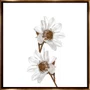 Kit de Quadros Florais Branco e Dourado Moldura Laqueada Bronze 70x70 cm Cada Quadro