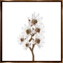 Kit de Quadros Florais Branco e Dourado Moldura Laqueada Bronze 70x70 cm Cada Quadro