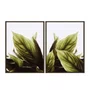 Kit de Quadros Folhas Verdes Botânico Decoração Moderna Minimalista e Serena