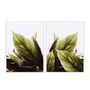 Kit de Quadros Folhas Verdes Botânico Decoração Moderna Minimalista e Serena