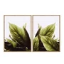 Kit de Quadros Folhas Verdes Botânico Decoração Moderna Minimalista e Serena