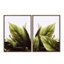 Kit de Quadros Folhas Verdes Botânico Decoração Moderna Minimalista e Serena