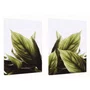 Kit de Quadros Folhas Verdes Botânico Decoração Moderna Minimalista e Serena