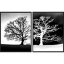 Kit Quadros em Preto e Branco Árvores Secas Positivo Negativo Par de Quadros 110x70cm