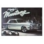 Poster 3D Ford Mustang Prata 1966 70x50cm com/sem Moldura