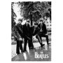 Poster Banda The Beatles 60x90cm com/sem Moldura