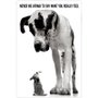 Poster Dogs Pequeno e Grande 60x90cm com/sem Moldura