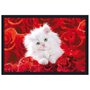 Poster Gato Branco Filhote Sobre Rosas Vermelhas 90x60cm com/sem Moldura