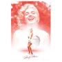 Poster Rosa Marilyn Monroe 60x90cm