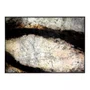 Quadro Abstrato em Tela Canvas Efeito Metal Oxidado Moldura Laqueada Cinza 170x120 cm