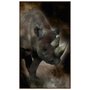Quadro Canvas com Moldura Tela Imagem de Rinoceronte 120x210cm