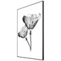 Quadro com Moldura Preta Par de Flores Efeito Raio-X 60x80cm
