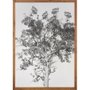 Quadro com Moldura Rústica Árvore em Preto e Branco 70x100 cm