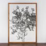 Quadro com Moldura Rústica Árvore em Preto e Branco 70x100 cm