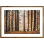 Quadro de Árvores Paisagem Floresta 70x50 cm Moldura Rústica