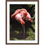 Quadro de Flamingo Decorativo com Moldura Estilo Rústico 60x80 cm