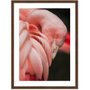 Quadro de Flamingo Decorativo II com Moldura Estilo Rústico 60x80 cm