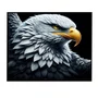 Quadro Decorativo Águia de Cabeça Branca Olhar Penetrante com Moldura e Vidro